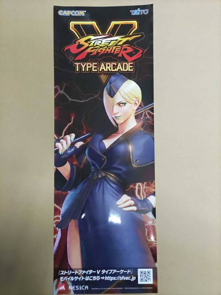 処分価格 価格相談受付中 ストリートファイター5 アーケード ポスター Amazon.co.jp: STREET FIGHTER V ARCADE EDITION (ストリート